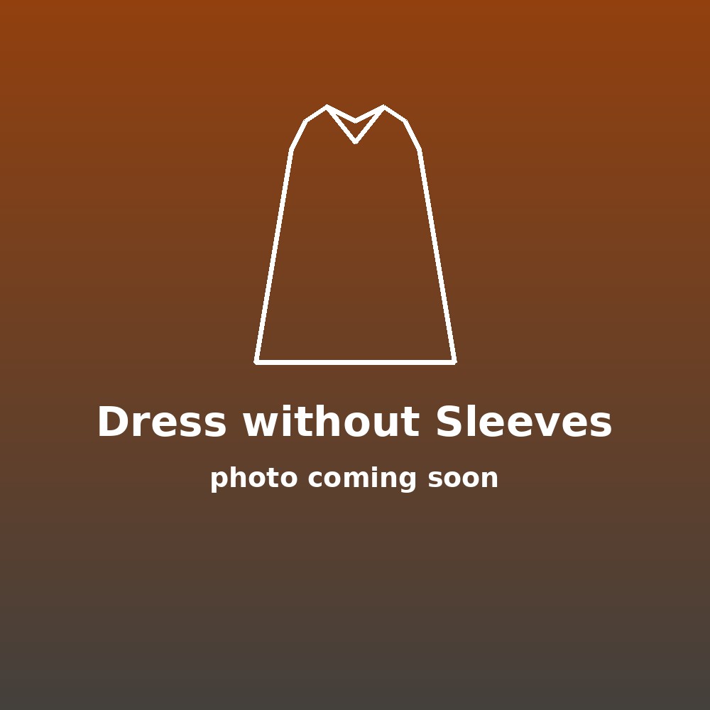 Placeholder illustration of the reworked dress without its detachable sleeve top, photo coming soon